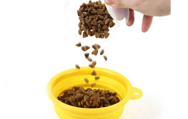How to Clean a Cat Litter Box in Easy Steps II