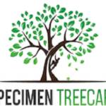 Specimen Treecare