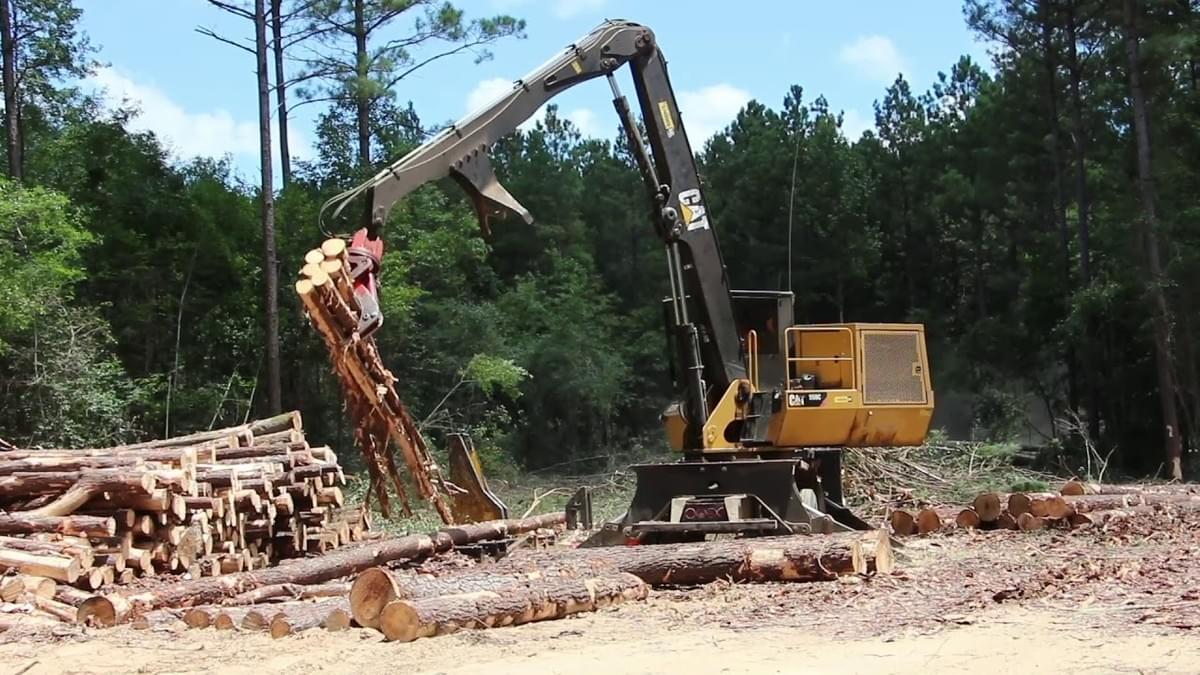What are the Advantages of Logging?