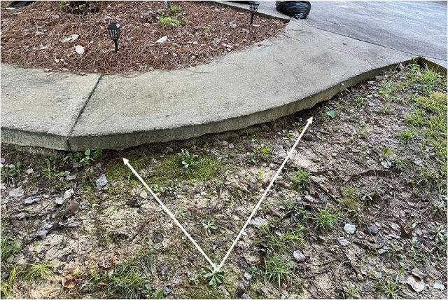 A Quick Guide To Concrete Lifting And Leveling The Side Walks - The Millionaire Posts
