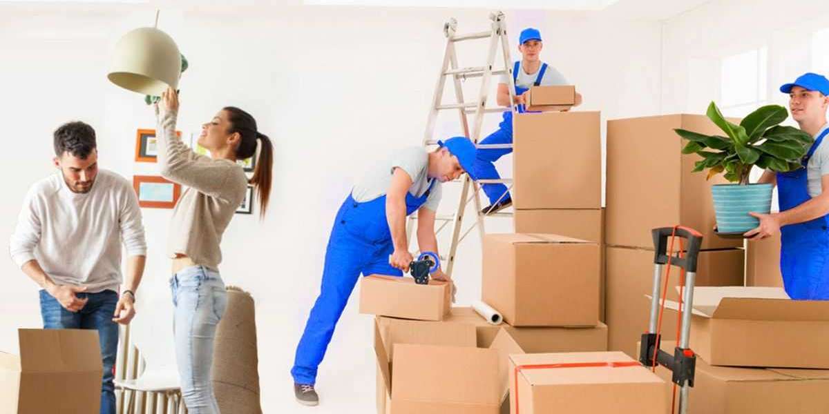 Removalists Melton Movers Buddy