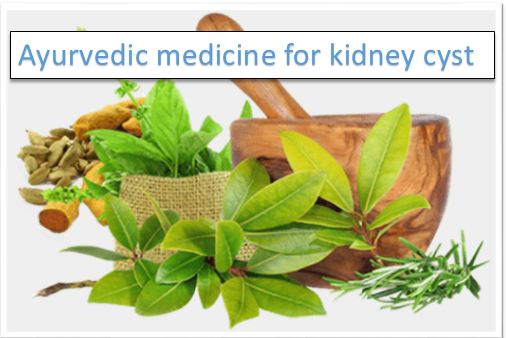 Ayurvedic medicine for kidney cyst – Kidney And Ayurveda