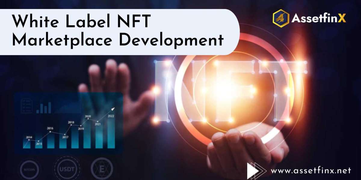 Generate Passive Income With White Label NFT Solutions!