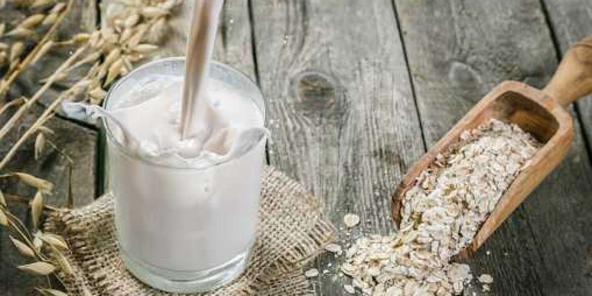 Oat Milk Market Share, Research Competitive Insights, Demand and Product Scope