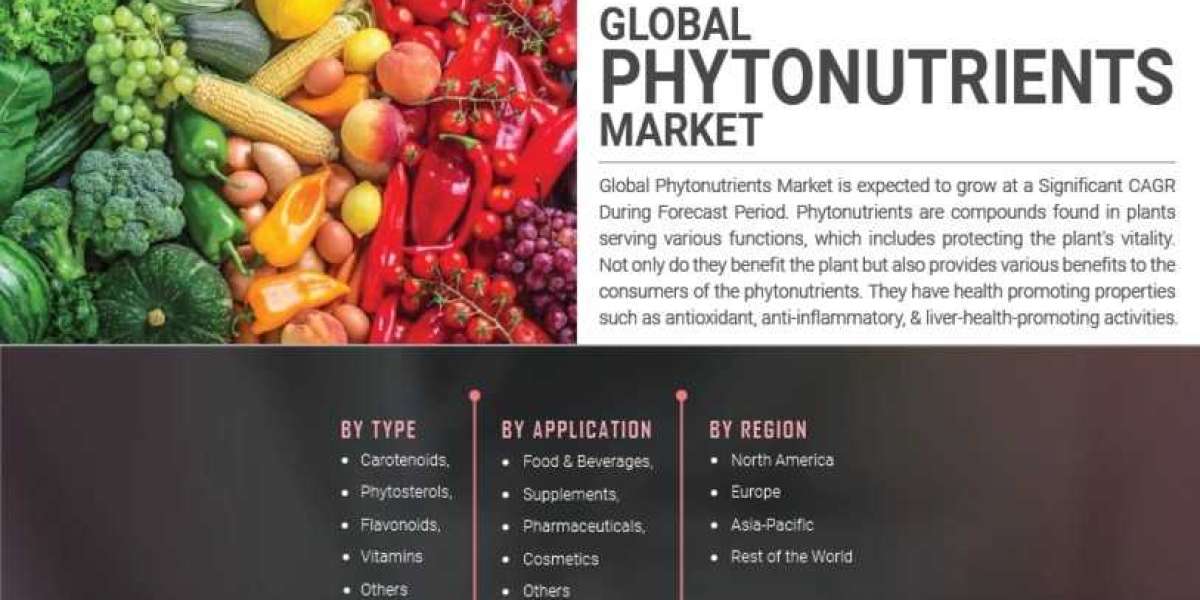 Phytonutrients Market Analysis Business Opportunities, Current Trends And Industry Analysis By 2030