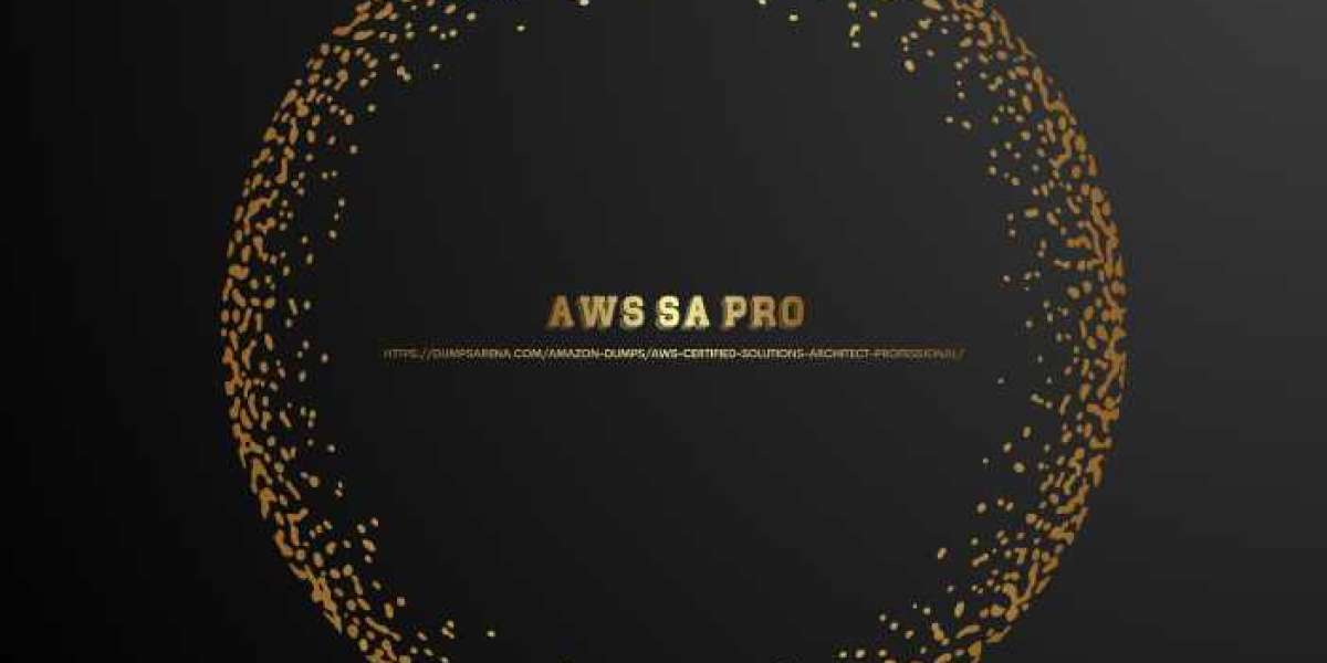 Pass Your AWS SA Pro - Easy & Updated Version