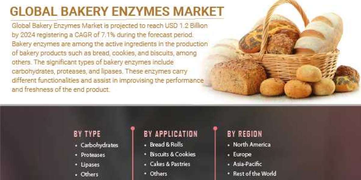 Bakery Enzymes Market Share To Register Significant Growth Globally By 2030