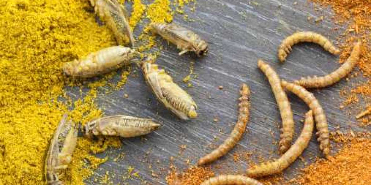 Insect Protein Market Overview Forecast Will Generate New Growth Opportunities in Upcoming Year