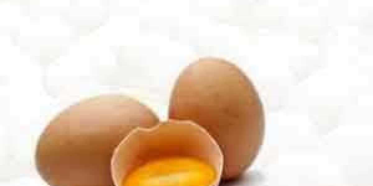 Processed Egg Market Data | Industry Insights as Per Analysis, Latest Report 2029