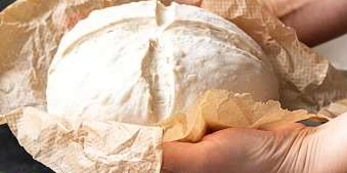 Feed Yeast Market Size, Regional Demand, Key Drivers, and Forecast 2030