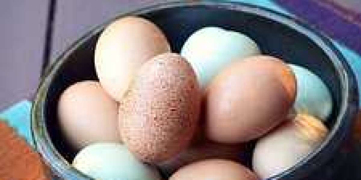 Cage Free Eggs Market Trends, Analysis, Opportunities, Future Demand And Forecast by 2030