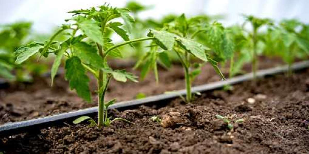 Drip Irrigation Market Overview with Application, Drivers, Regional Revenue, and Forecast 2030