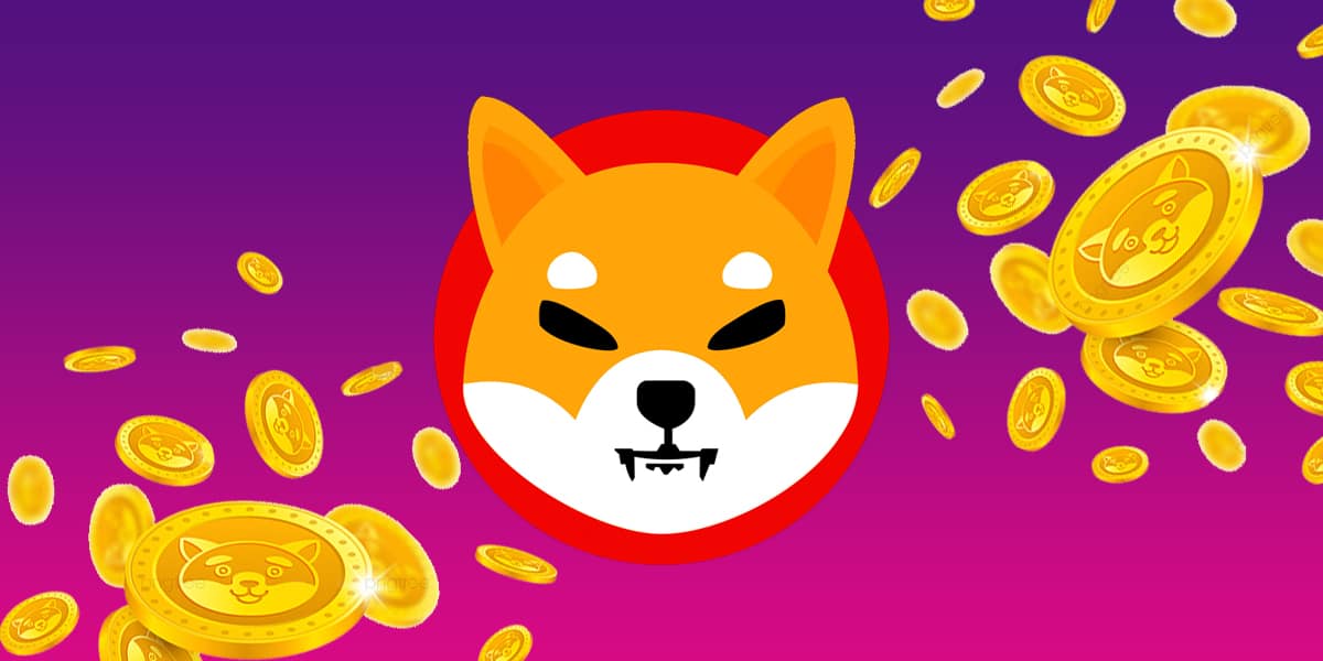 Is it worth buying Shiba Inu coin in 2023 - Crypto Customer Crae