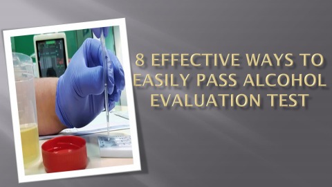 8 Effective Ways to Easily Pass Alcohol Evaluation Test