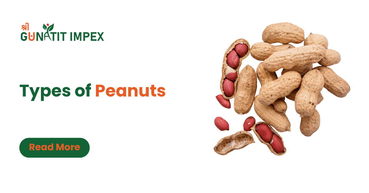 Types of Peanuts - Shree Gunatit Impex