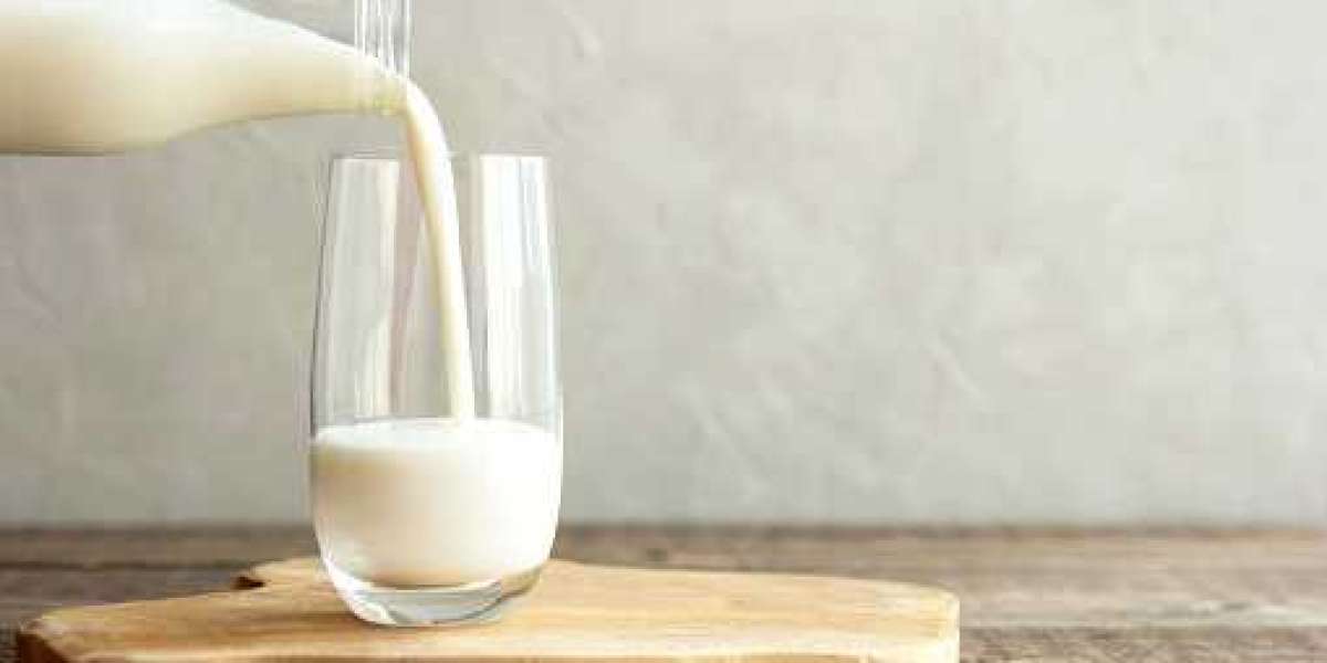 Milk Protein Market Insights: Top Companies, Demand, and Forecast to 2030