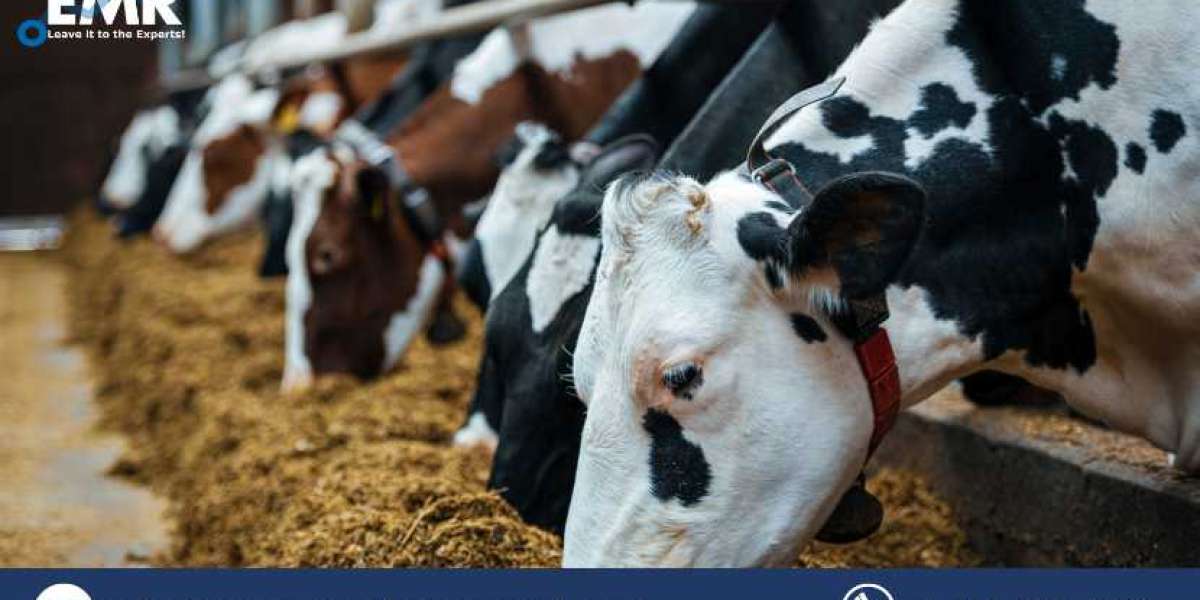 Global Zinc Micronutrient For Animal Feed Market Size, Report and Forecast 2023-2028