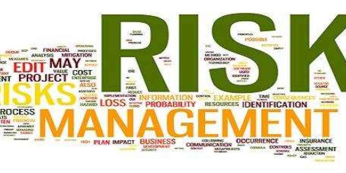 How Experts Solve Risk Management Assignments Help Smartly?