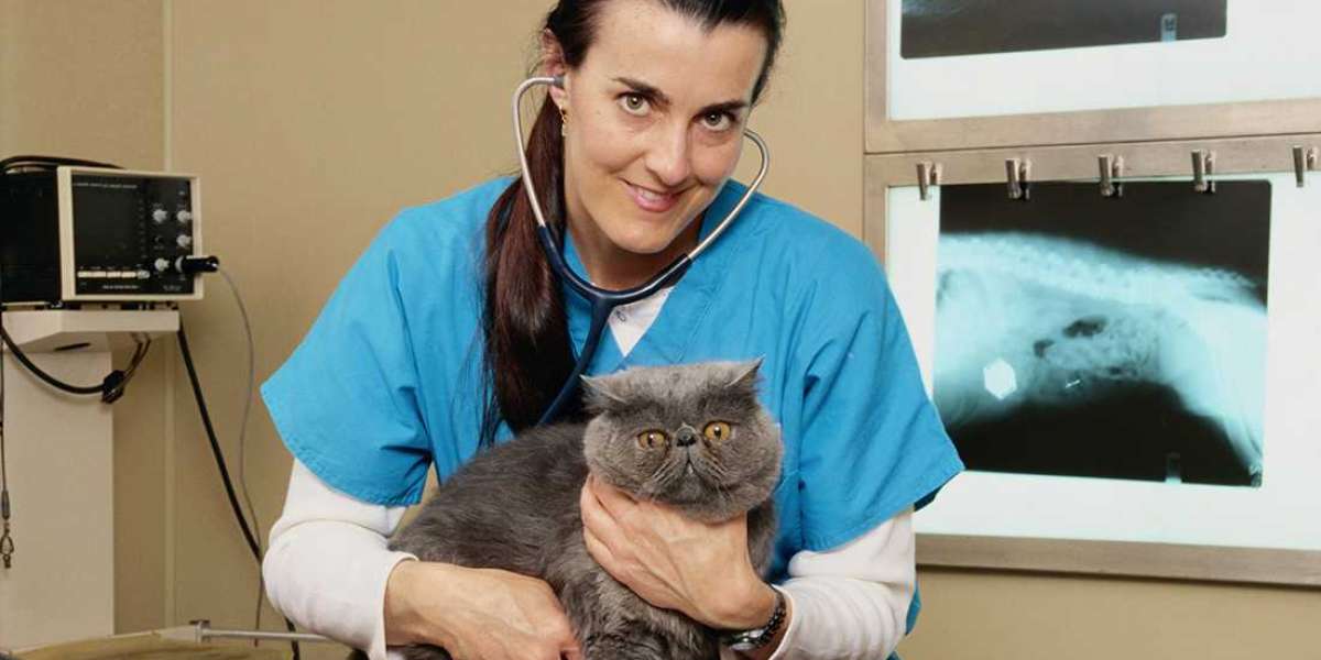 Veterinary Office Assistant Diploma in Canada