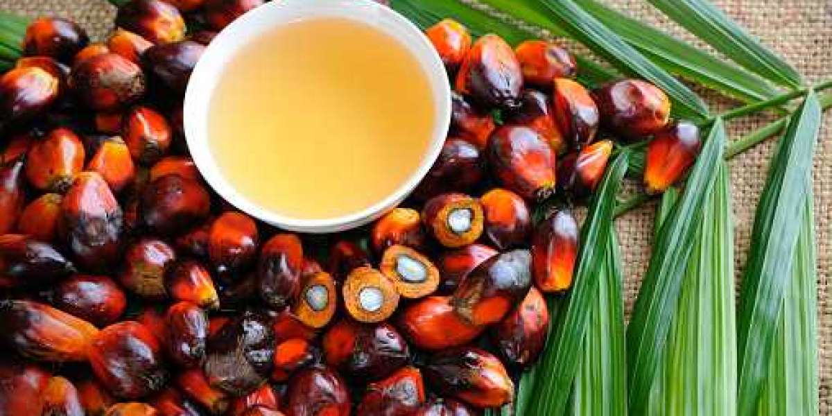 North America & Europe Palm Derivatives Key Market Players, Statistics, Gross Margin, and Forecast 2028