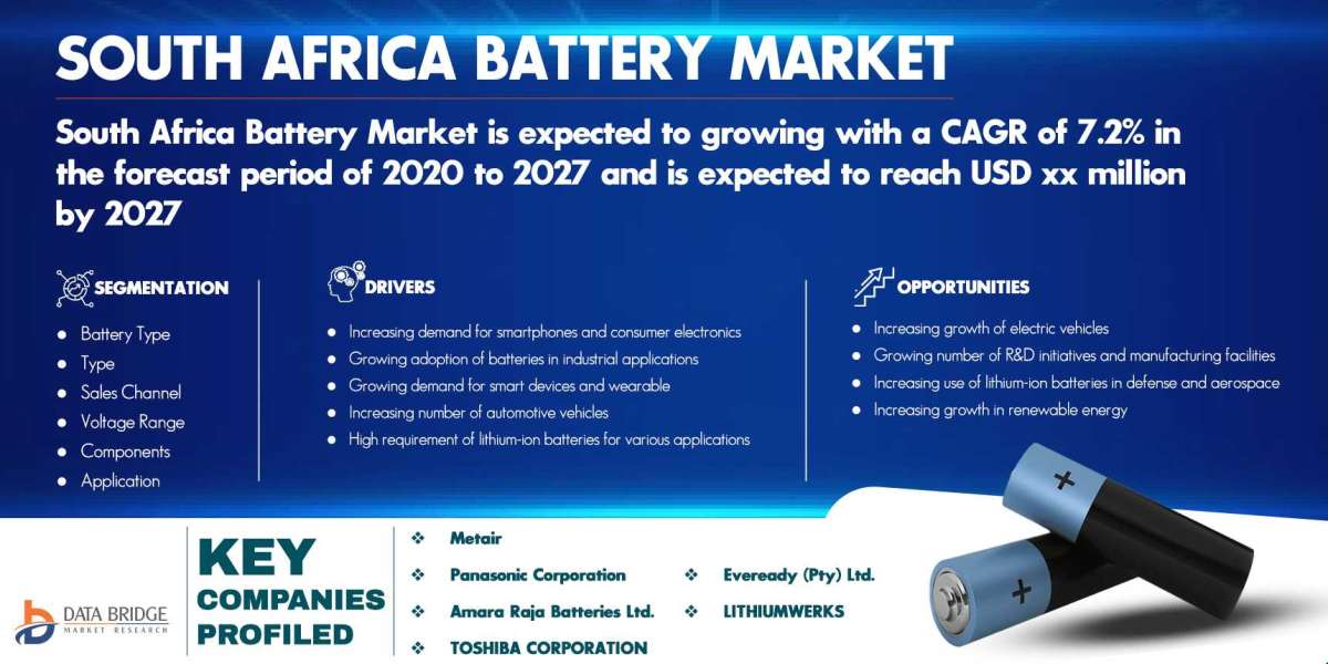 Key Players and Strategies for Market Entry in the South Africa Battery Market