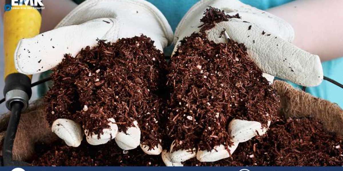 Global Coco Coir Market Size, Share, Report and Forecast 2023-2028