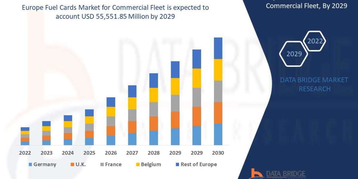 Europe Fuel Cards Market Analysis for Commercial Fleet: Key Trends and Opportunities for 2023