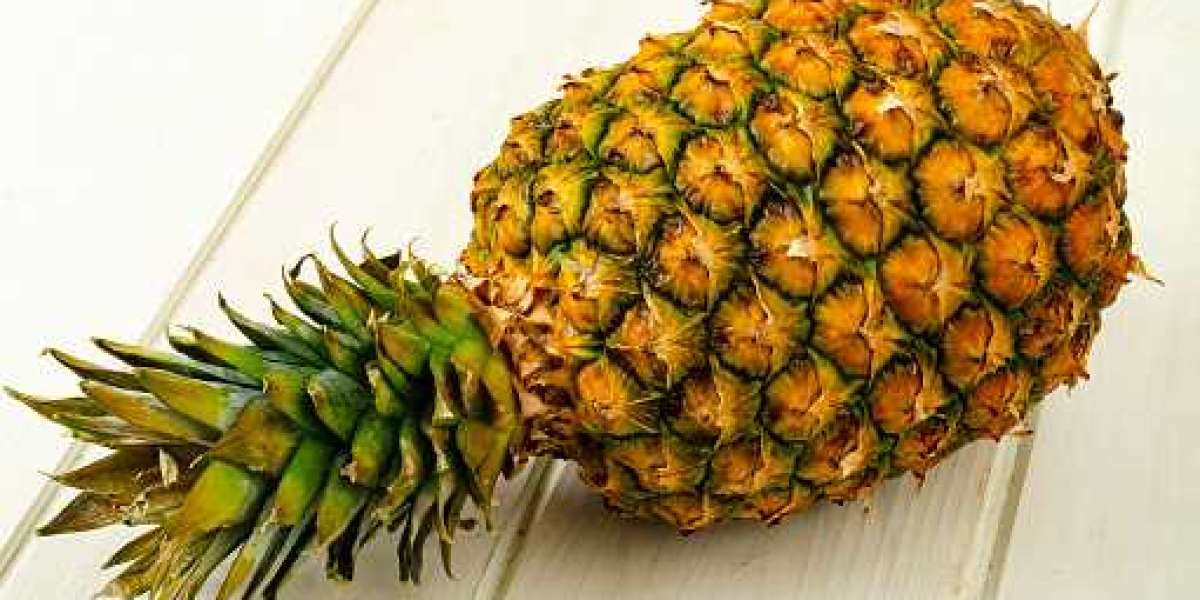 Bromelain Market Research by Statistics, Application, Gross Margin, and Forecast 2027