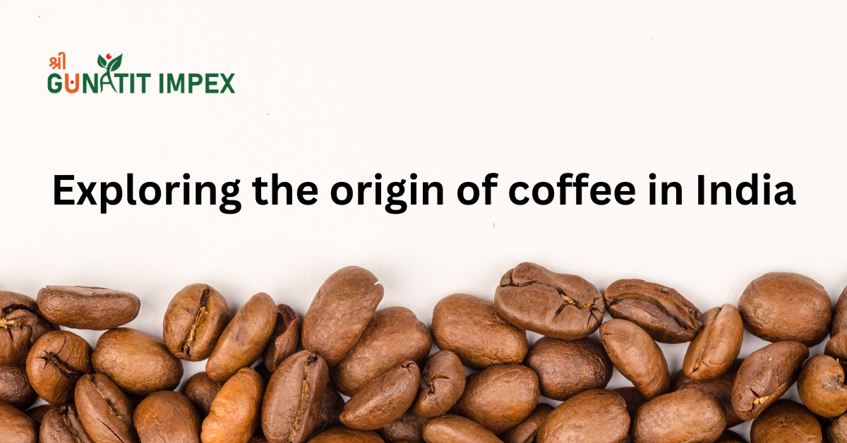 Exploring the origin of coffee in India | by Shree Gunatit Impex | Feb, 2023 | Medium