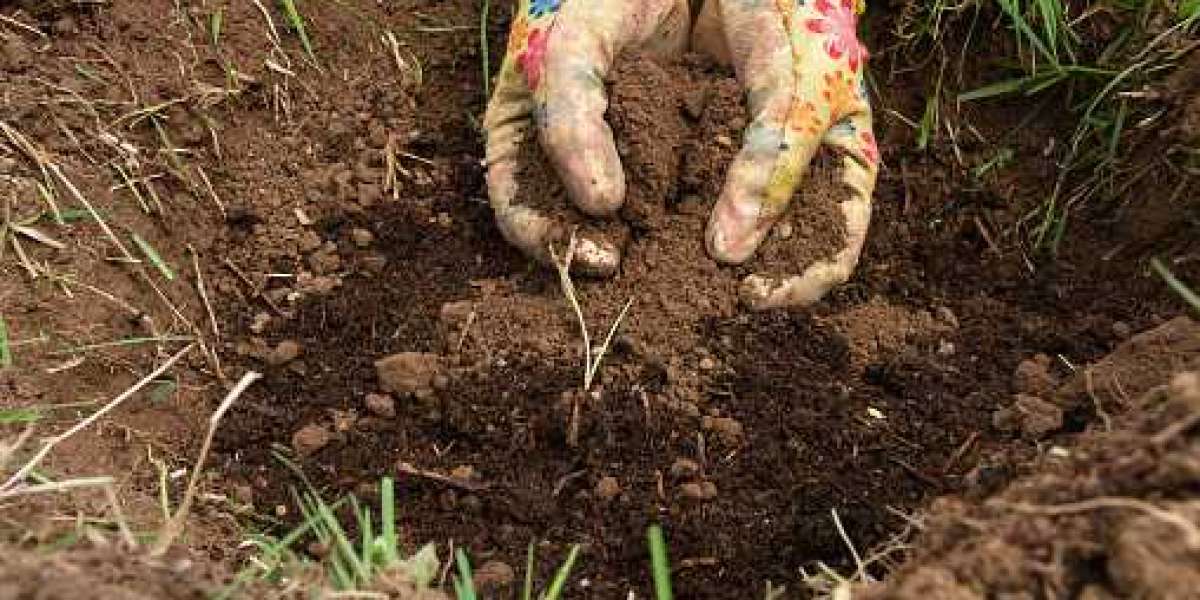 Biofertilizers Market Share Analysis by Company Revenue and Forecast 2030