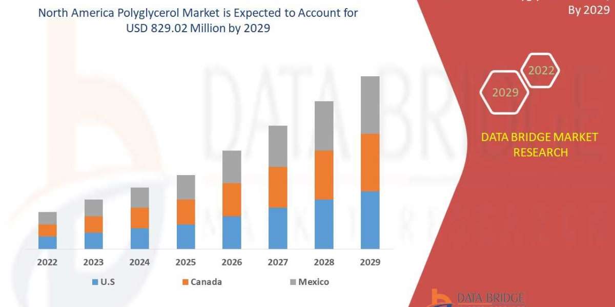Polyglycerol Market in North America Set to Grow as Consumers Seek Natural and Organic Personal Care Products