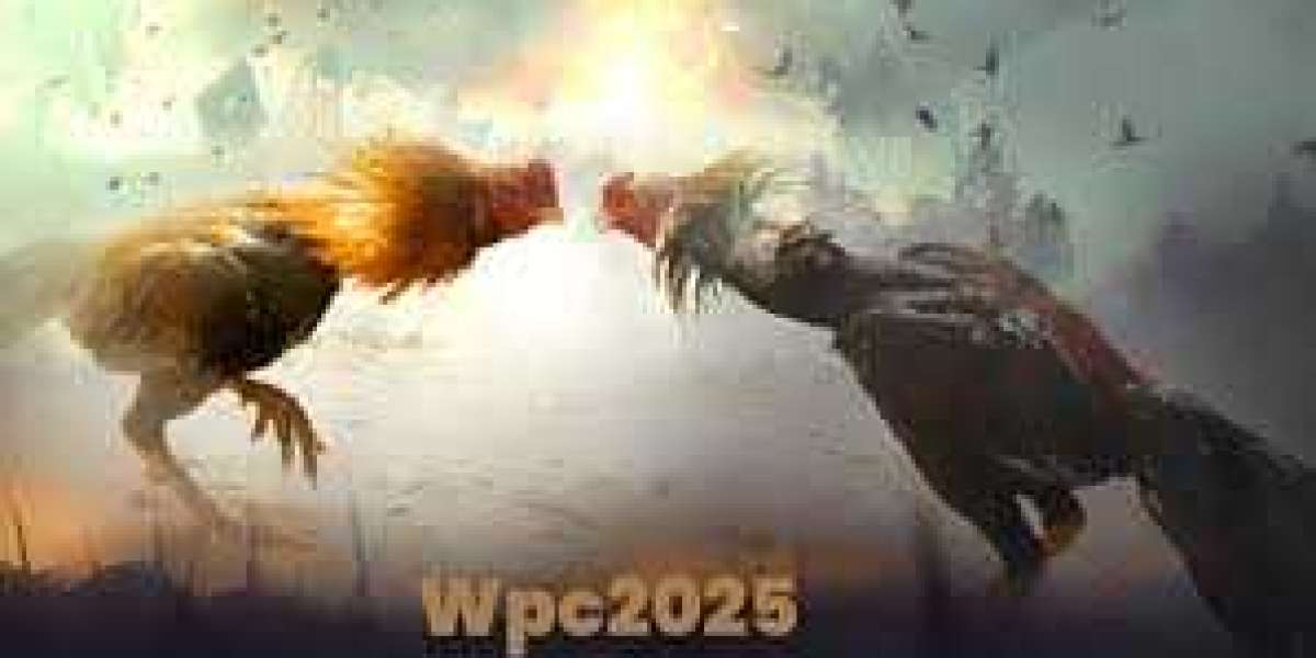 Everything You Need To Know About WPC2025 Live, Login