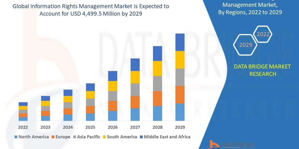 Information Rights Management Market CAGR of 15.60% by 2029, Size, Share, Growth Opportunities, Driver, Restraints and R