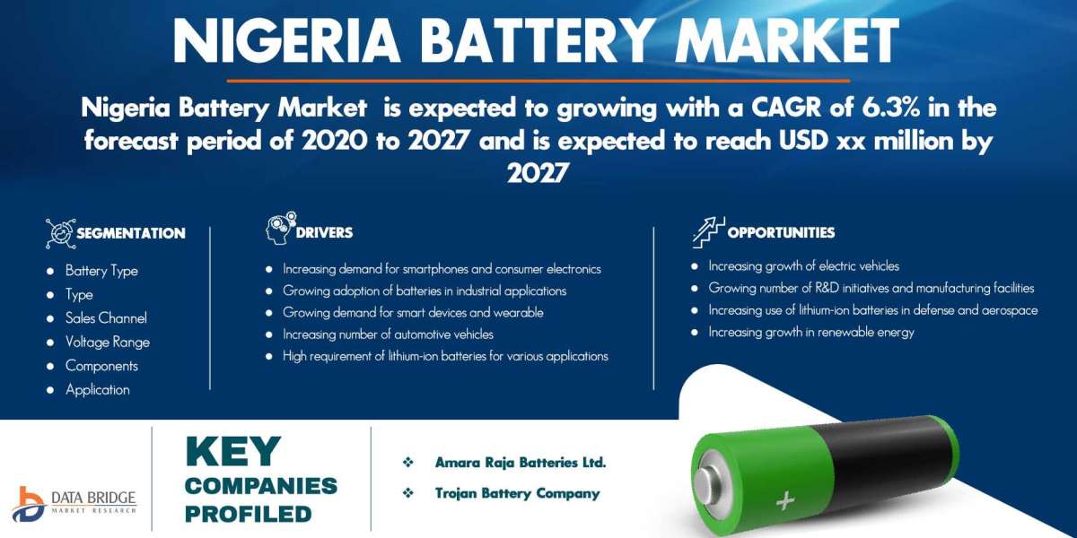 "Emerging Trends and Opportunities in the Nigeria Battery Market: A Regional Outlook"
