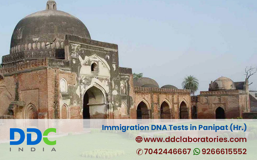 Immigration DNA Tests in Panipat Haryana - DDC Laboratories India