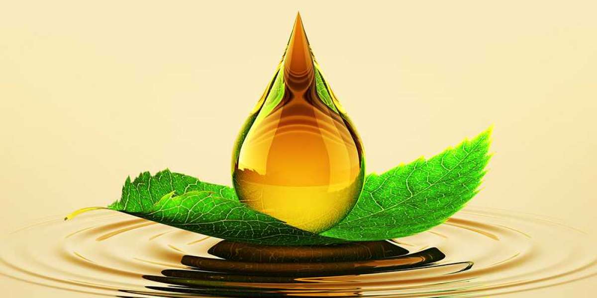 Bio Lubricants Market : Size, Share, Forecast Report by 2030