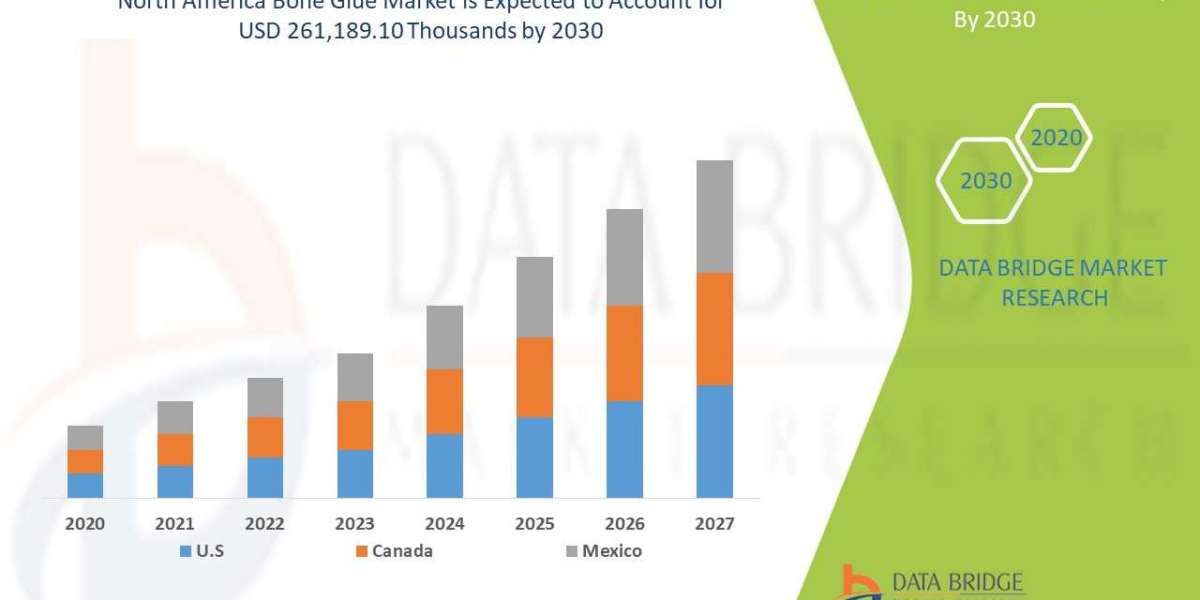 North America Bone Glue Market Analytical Overview, Technological Innovations with Economic Indicators By 2030