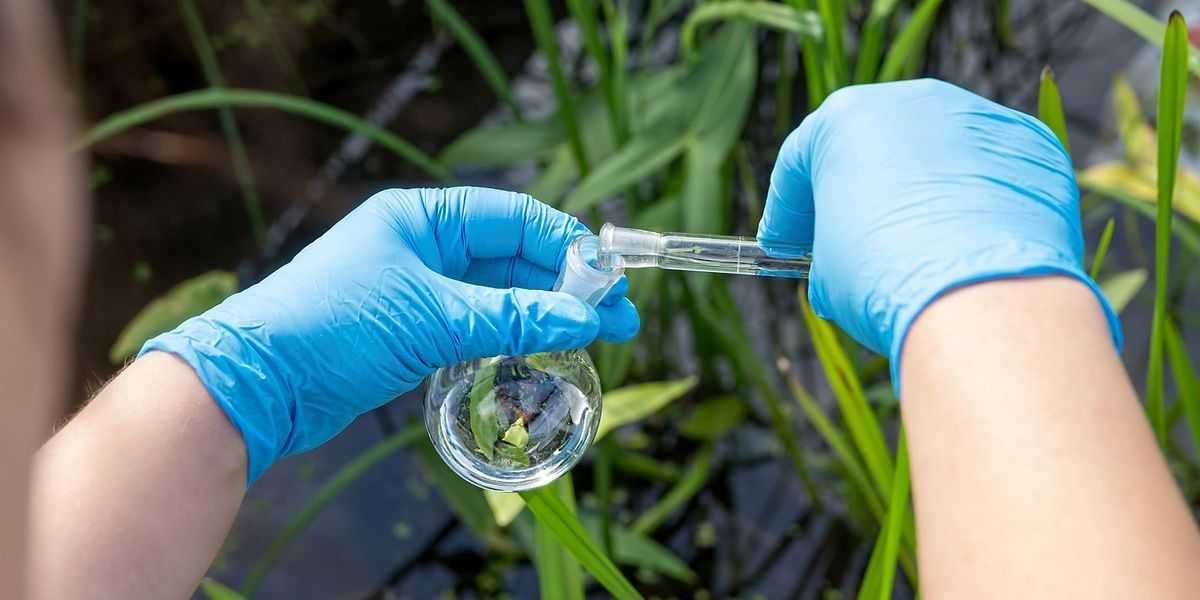Environmental Testing Market evenue, Growth Rate, Report Analysis, Share, With Forecast Overview 2020-2028