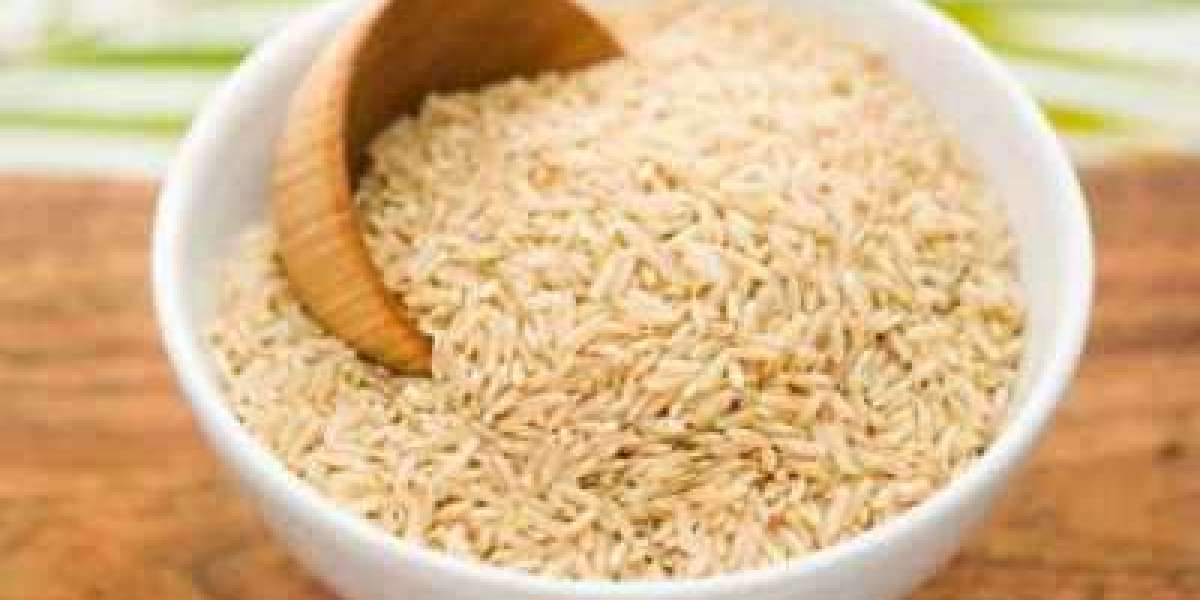 Organic Rice Protein Market Size Growing at 18.2% CAGR Set to Reach USD 307.2 Million By 2028