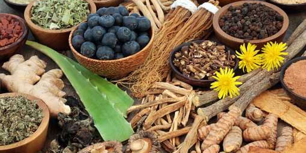 Medicinal Plant Extracts Market Insights, Volume Forecast And Value Chain Analysis Till 2030