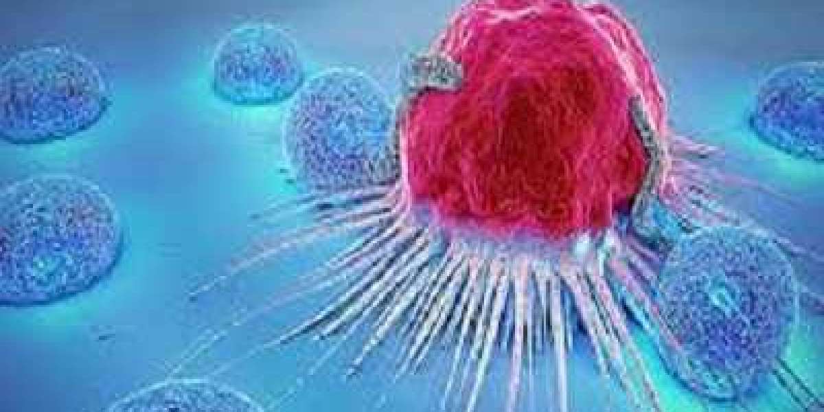 Oncology Market Size Growing at 7.9% CAGR Set to Reach USD 447.3 Billion By 2028