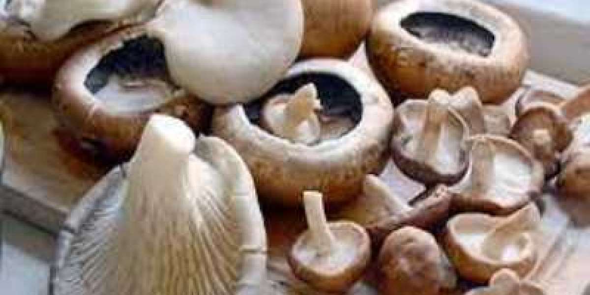 Mushroom Market Size Growing at 9.5% CAGR Set to Reach USD 86.0 Billion By 2028