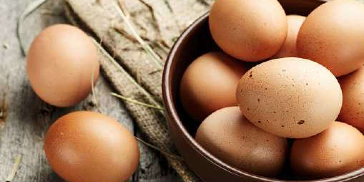 Egg Products Market Insights: Growth, Key Players, Demand, and Forecast 2030