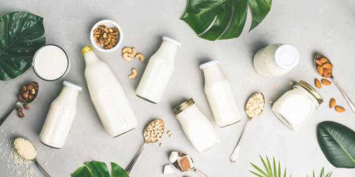 Dairy Alternatives Products Market Outlook, Revenue Share Analysis, Market Growth Forecast 2030