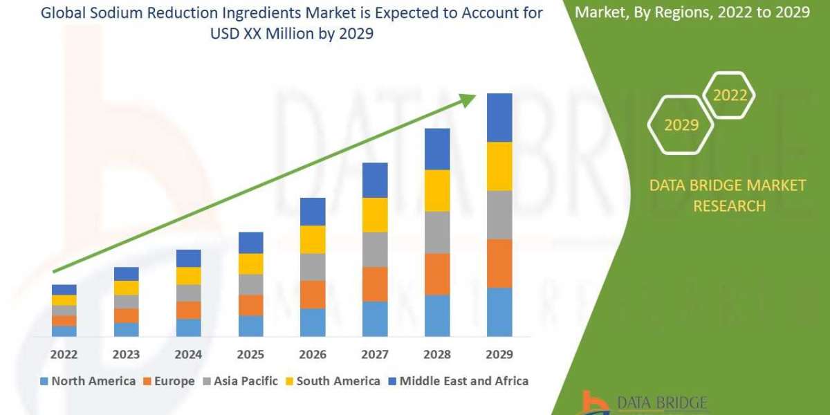 Sodium Reduction Ingredients Market Value & Share 2029 | DBMR