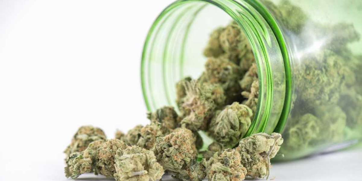 Sativa Strains with No Anxiety: Finding the Perfect Strain for You