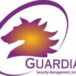 theguardian security