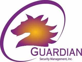 theguardian security