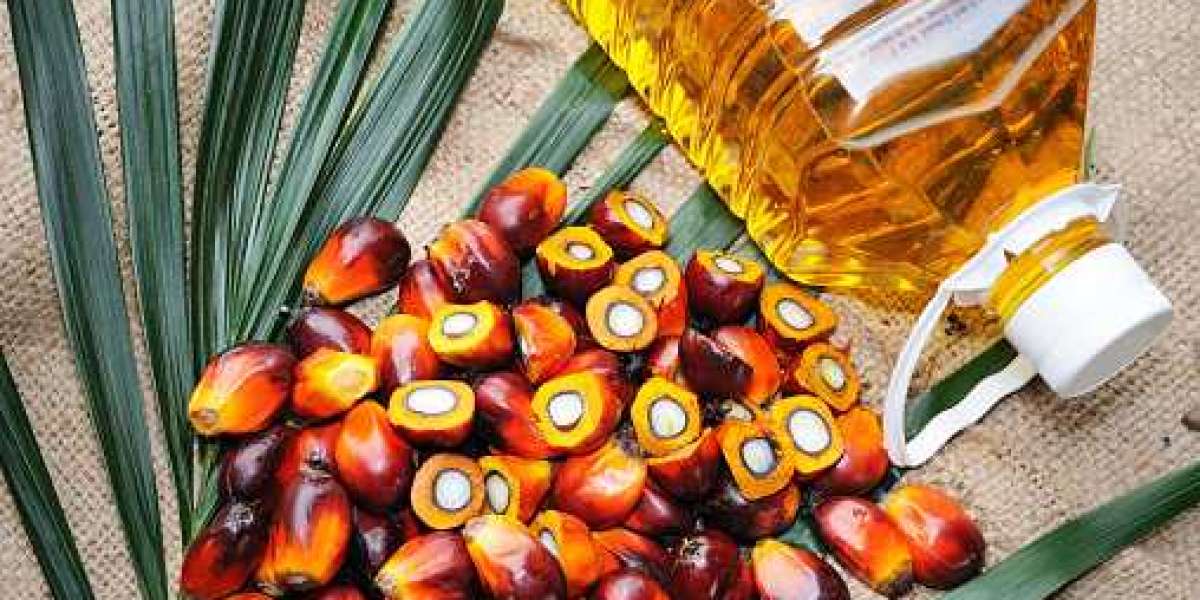 North America & Europe Palm Derivatives Market Insights: Regional Growth, Revenue Product, and Competitor Analysis |