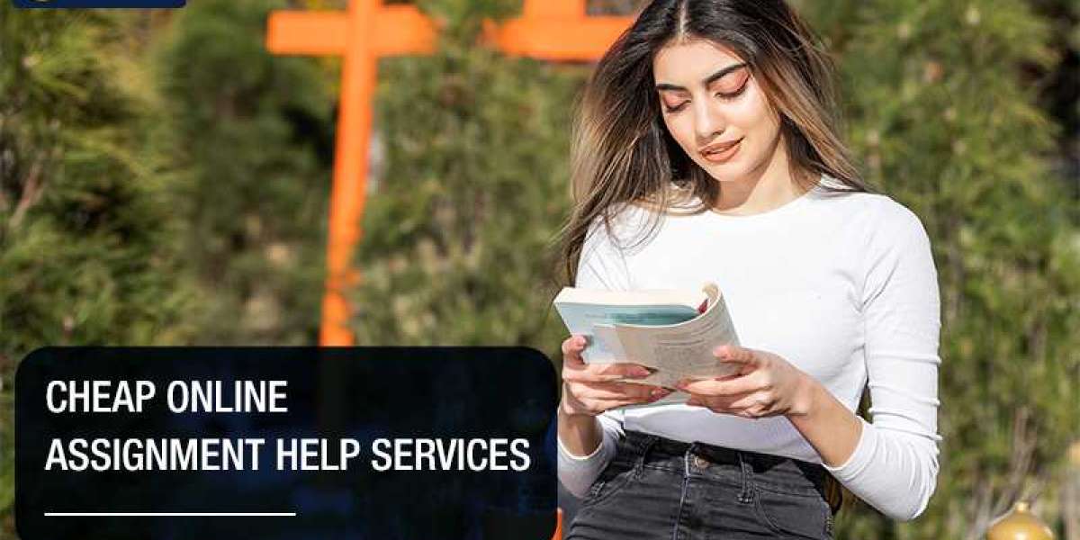 The Benefits of Using Irish Assignment Help Services